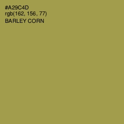 #A29C4D - Barley Corn Color Image