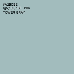 #A2BCBE - Tower Gray Color Image