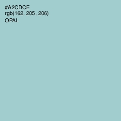 #A2CDCE - Opal Color Image