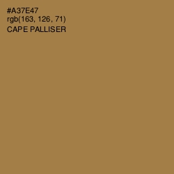 #A37E47 - Cape Palliser Color Image