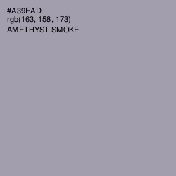 #A39EAD - Amethyst Smoke Color Image