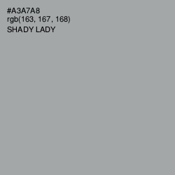 #A3A7A8 - Shady Lady Color Image