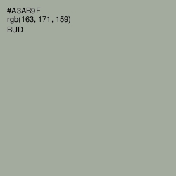 #A3AB9F - Bud Color Image