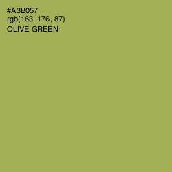 #A3B057 - Olive Green Color Image