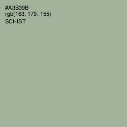 #A3B39B - Schist Color Image