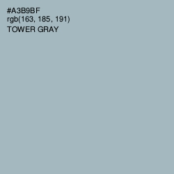#A3B9BF - Tower Gray Color Image