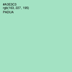 #A3E3C3 - Padua Color Image