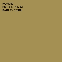 #A49052 - Barley Corn Color Image