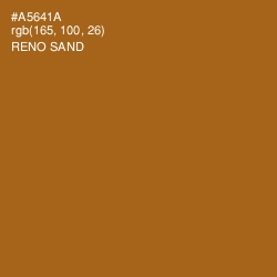 #A5641A - Reno Sand Color Image