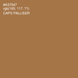 #A57547 - Cape Palliser Color Image