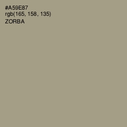 #A59E87 - Zorba Color Image