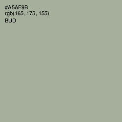 #A5AF9B - Bud Color Image