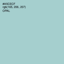 #A5CECF - Opal Color Image