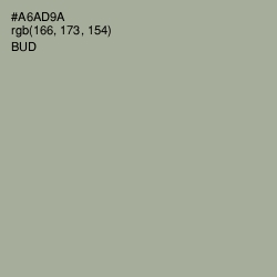 #A6AD9A - Bud Color Image