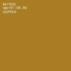 #A77E23 - Copper Color Image