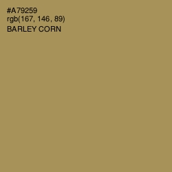 #A79259 - Barley Corn Color Image