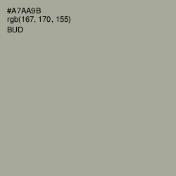 #A7AA9B - Bud Color Image