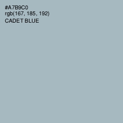 #A7B9C0 - Cadet Blue Color Image