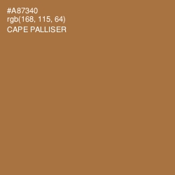 #A87340 - Cape Palliser Color Image