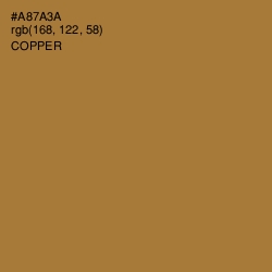 #A87A3A - Copper Color Image