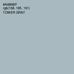 #A8B9BF - Tower Gray Color Image