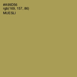 #A99D56 - Muesli Color Image