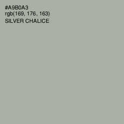 #A9B0A3 - Silver Chalice Color Image