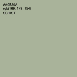 #A9B39A - Schist Color Image