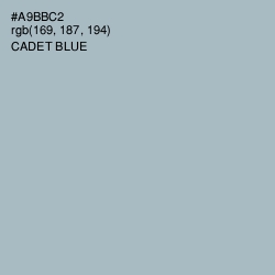 #A9BBC2 - Cadet Blue Color Image