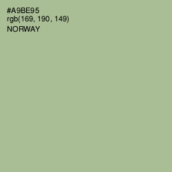 #A9BE95 - Norway Color Image