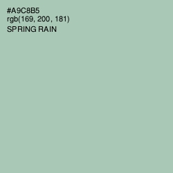 #A9C8B5 - Spring Rain Color Image
