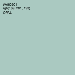 #A9C9C1 - Opal Color Image