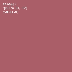 #AA5E67 - Cadillac Color Image