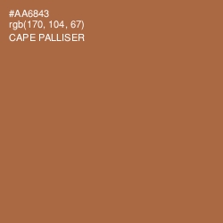 #AA6843 - Cape Palliser Color Image