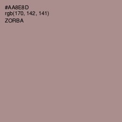 #AA8E8D - Zorba Color Image