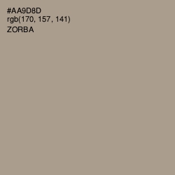 #AA9D8D - Zorba Color Image