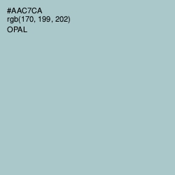 #AAC7CA - Opal Color Image
