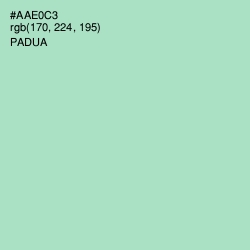 #AAE0C3 - Padua Color Image