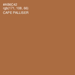 #AB6C42 - Cape Palliser Color Image