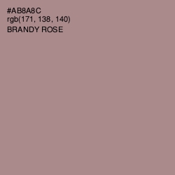 #AB8A8C - Brandy Rose Color Image