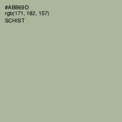 #ABB69D - Schist Color Image