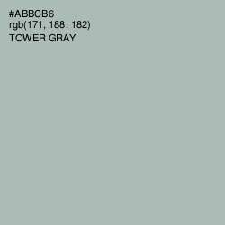 #ABBCB6 - Tower Gray Color Image