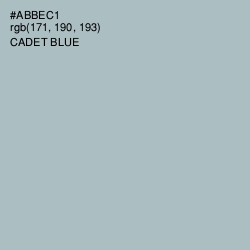 #ABBEC1 - Cadet Blue Color Image
