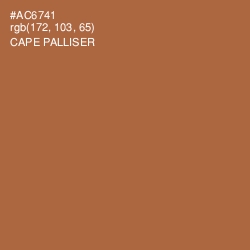 #AC6741 - Cape Palliser Color Image