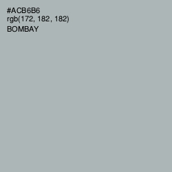 #ACB6B6 - Bombay Color Image