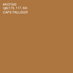 #AD7540 - Cape Palliser Color Image