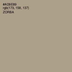 #AD9E89 - Zorba Color Image