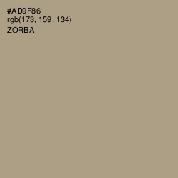#AD9F86 - Zorba Color Image