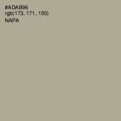 #ADAB96 - Napa Color Image