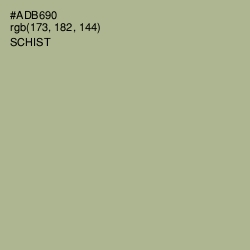 #ADB690 - Schist Color Image